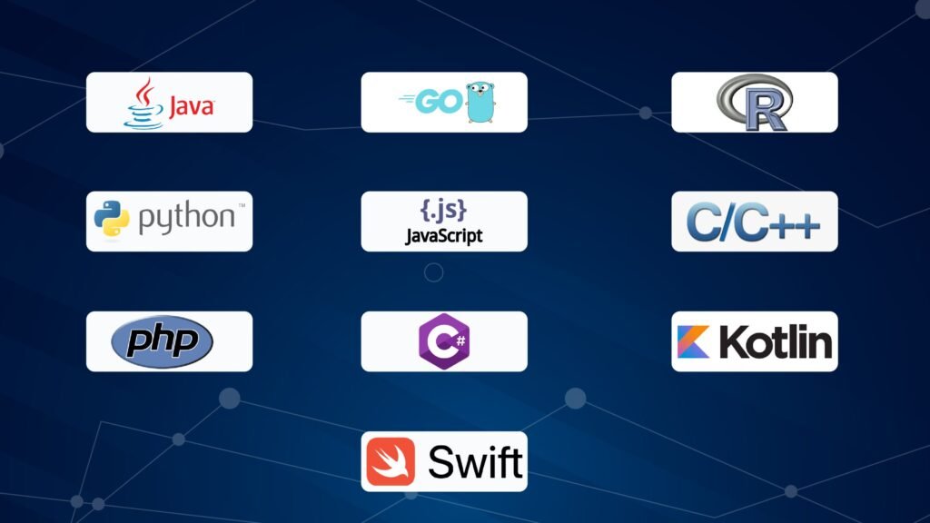 Top 5 Programming Languages in 2024