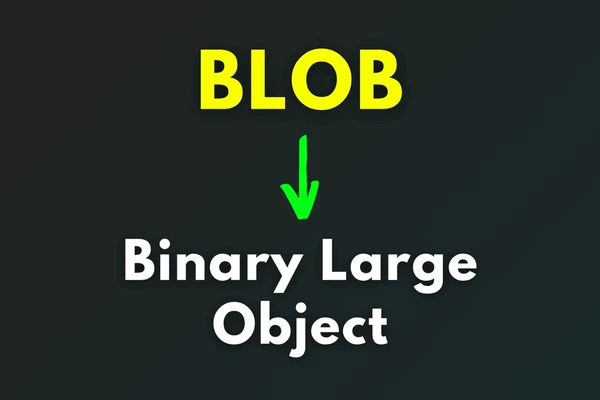 What is a Binary Large Object (BLOB)?