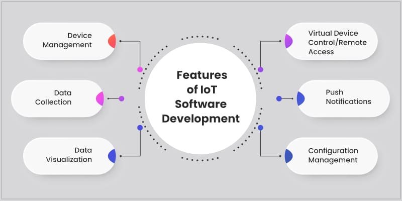 Software Development for IoT Devices