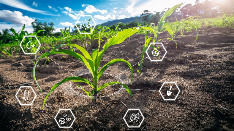 The Role of Technology in Sustainable Agriculture